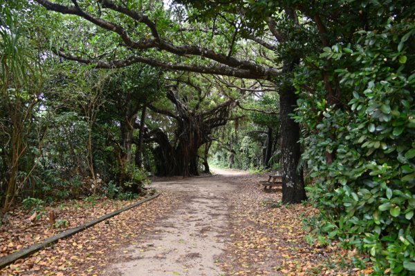 久高島：海岸線の道の続き