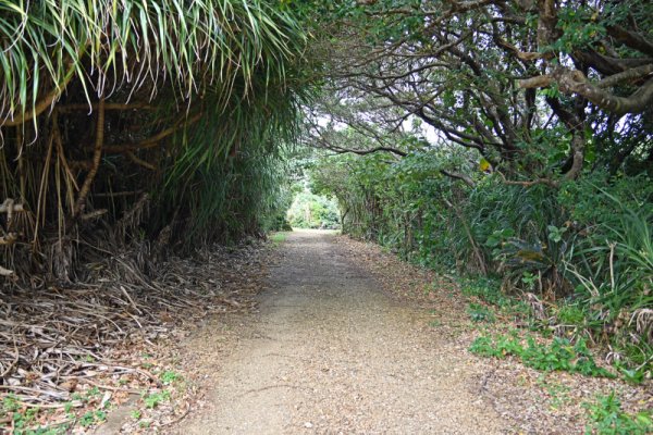 久高島：ロマンスロード