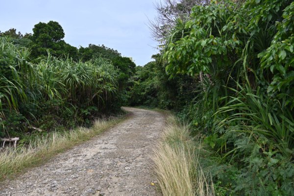 久高島：フボー御嶽への道