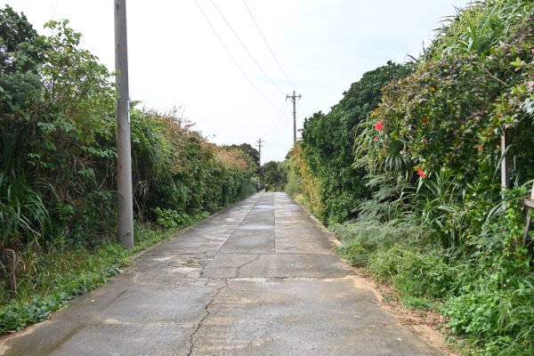 久高島：島中央の道路