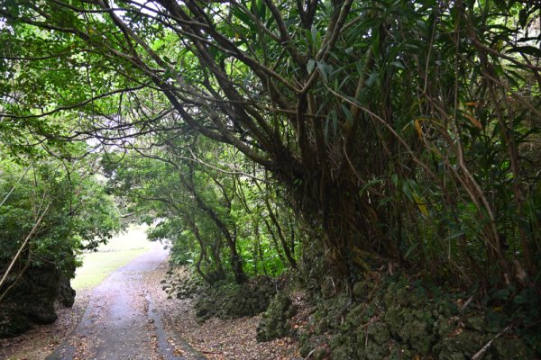 知念城跡：途中の道