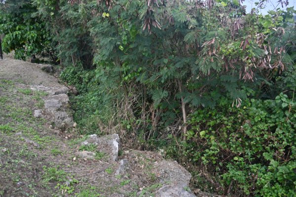 港川遺跡：石灰岩の上段