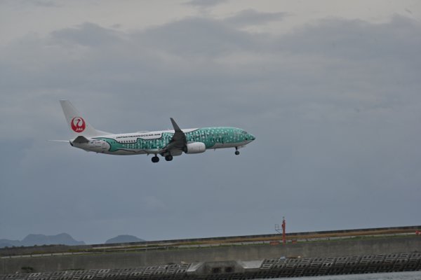 ウミカジテラス：結ジンベイ