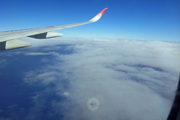 JAL903便：ブロッケン現象