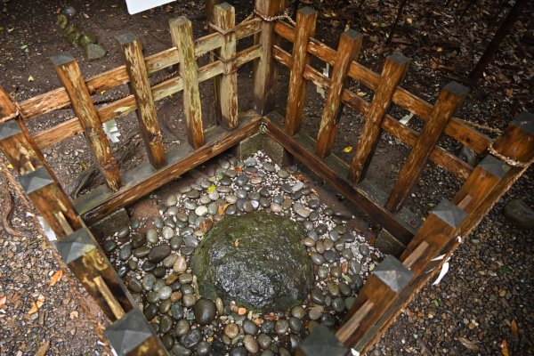 高千穂神社(6)