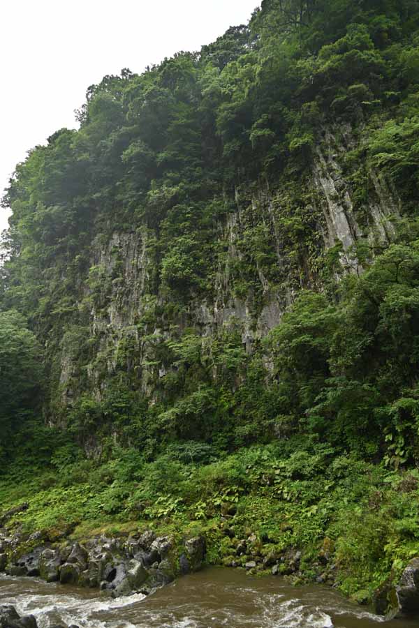 高千穂散策歩道(7)