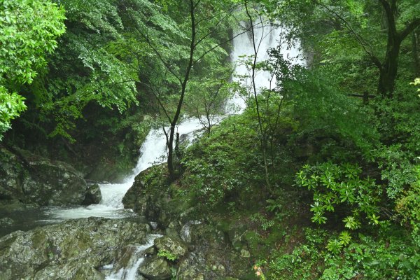 常光寺の滝(2)