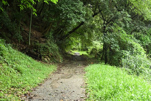 熊延線の廃線跡(1)