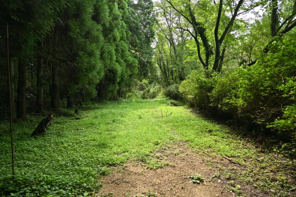 熊延線の廃線跡(4)