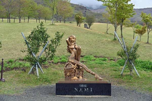 NAMI像