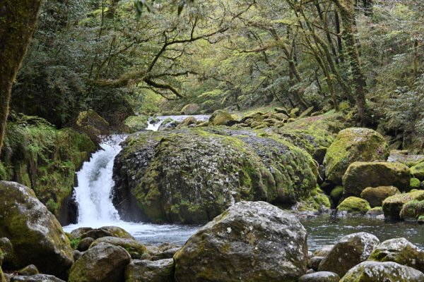 菊池渓谷：黎明の滝(3)