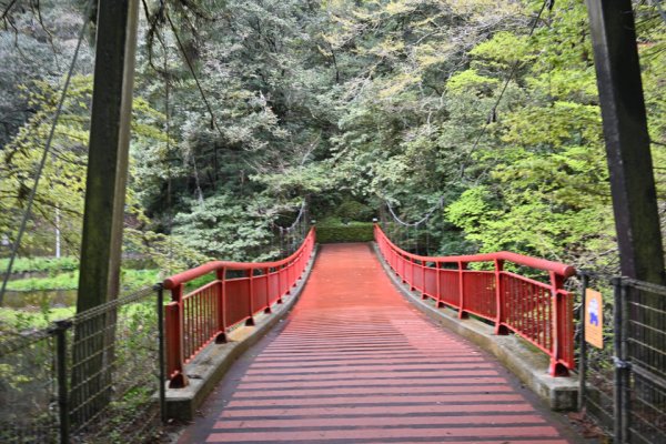 菊池渓谷：中流の橋