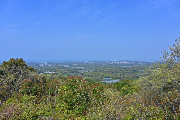 蓮華院誕生寺：開山堂の奥