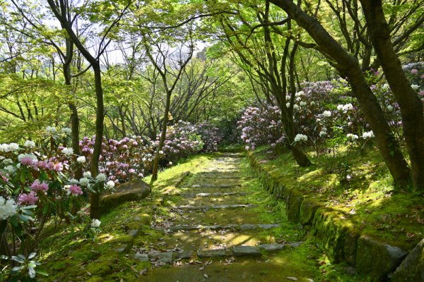 蓮華院誕生寺：駐車場への戻り