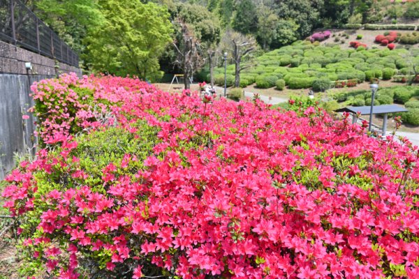 日輪寺(4)