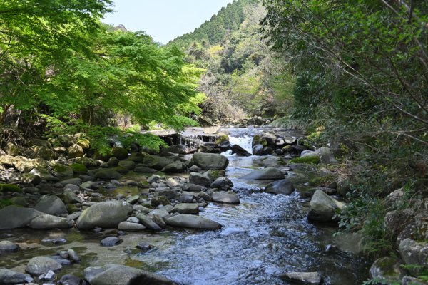 岳間渓谷(2)