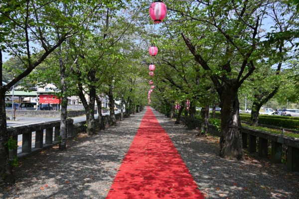 菊池神社：参道
