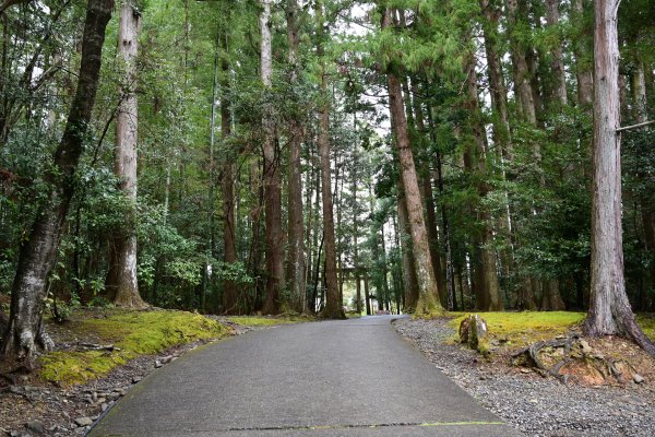 熊野本宮大社(7)