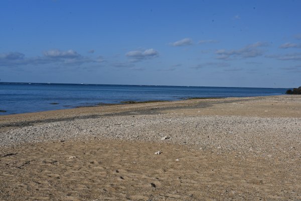 アーラ浜(2)