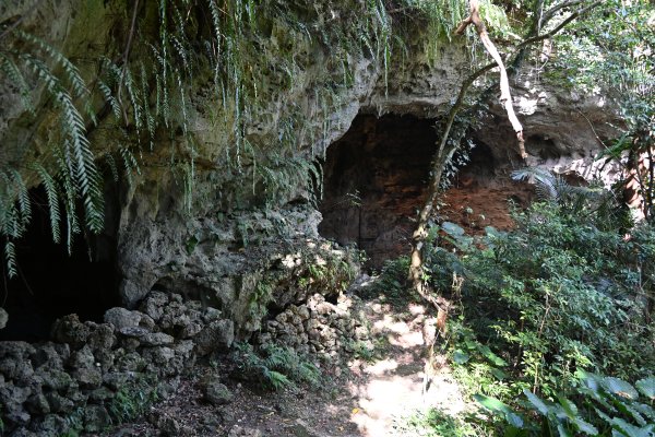 ヤジャーガマ洞窟(3)