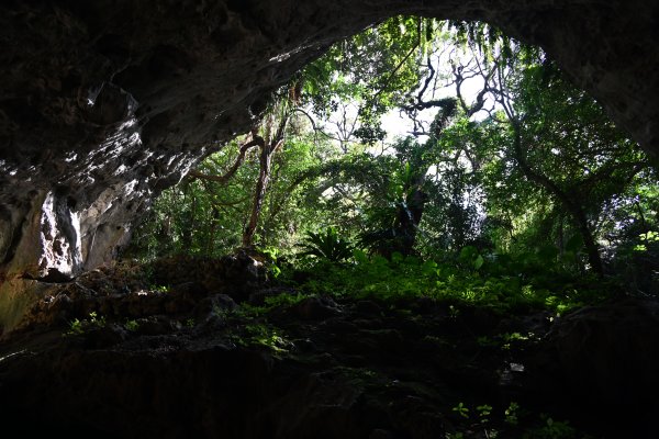 ヤジャーガマ洞窟(6)