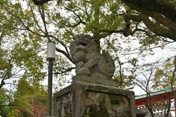 八坂神社：西楼門の狛犬