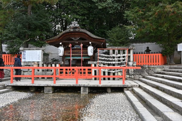 下賀茂神社：御手洗池の泡