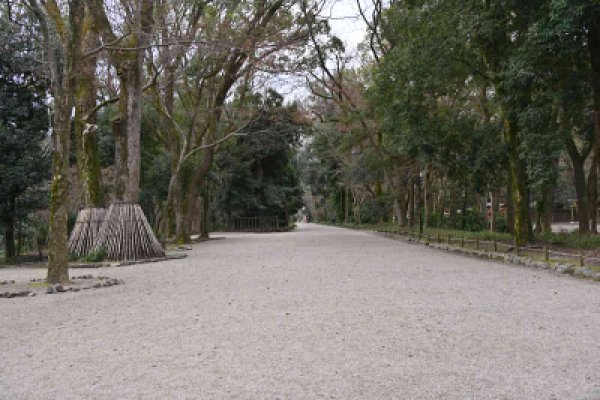 下賀茂神社：糺の森