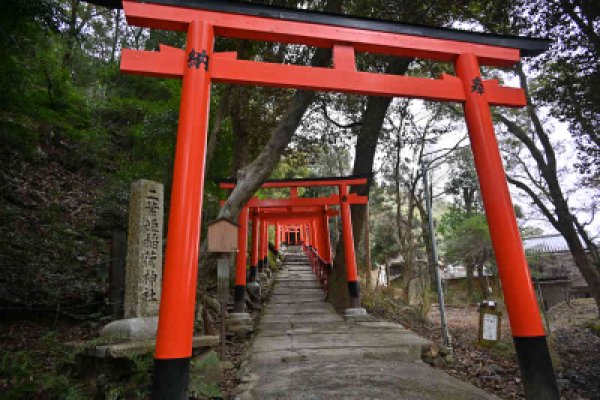二葉姫稲荷神社：鳥居