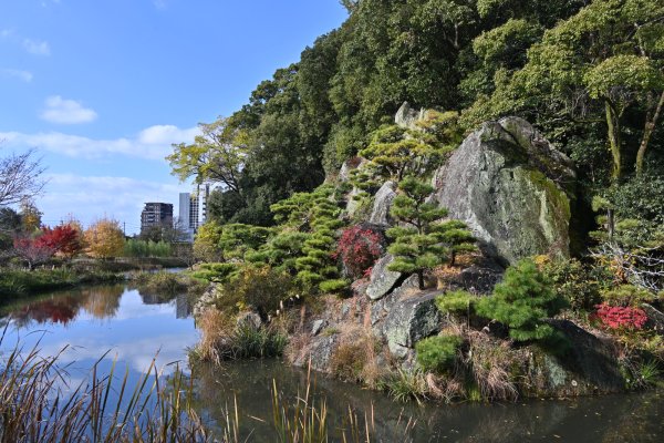 湯築城跡(6)：遮蔽土塁