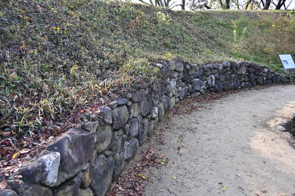 湯築城跡(8)：外堀土塁裾石