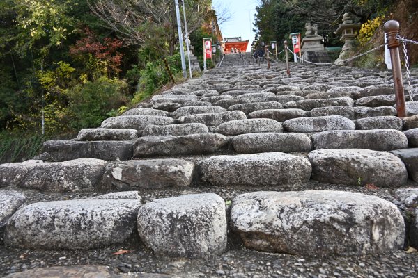 伊佐爾波神社(3)：石段