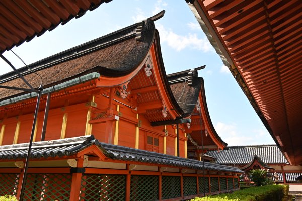 伊佐爾波神社(4)：社殿