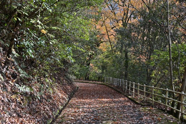 湧ヶ淵公園(2)