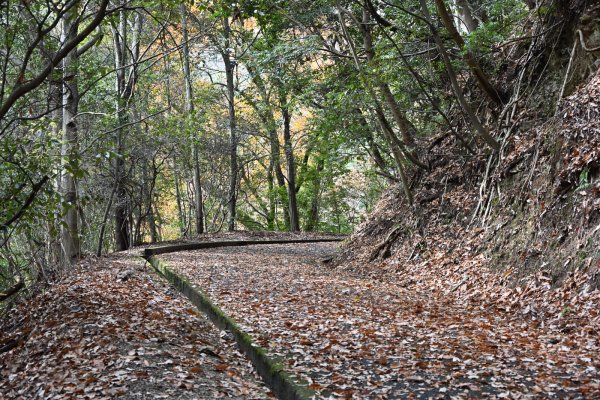 湧ヶ淵公園(3)