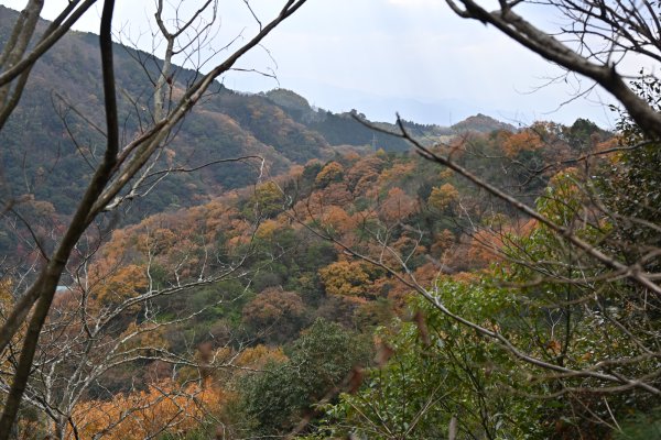 湧ヶ淵公園(4)