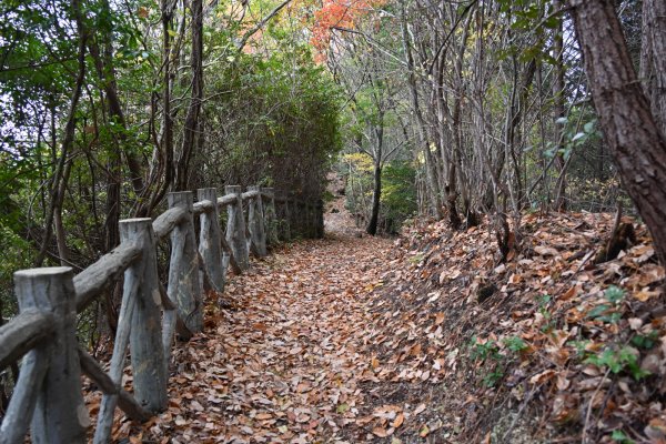 湧ヶ淵公園(5)