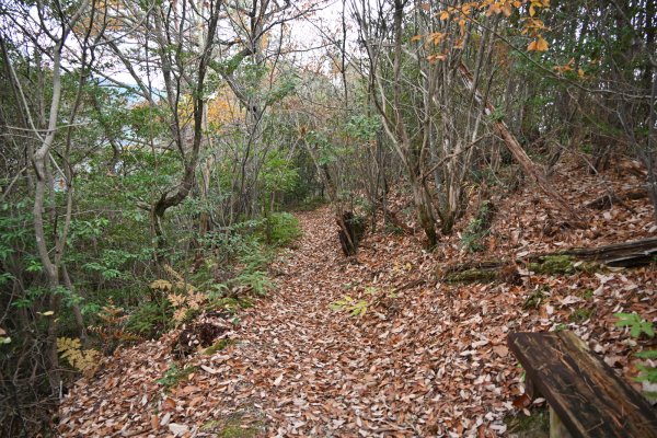 湧ヶ淵公園(7)