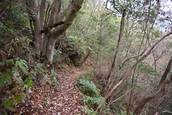 湧ヶ淵公園(9)