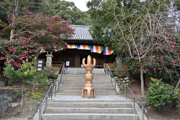 石手寺(5)：本堂