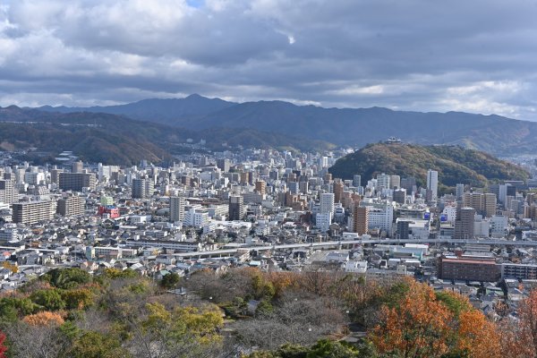 松山総合公園展望台(2)