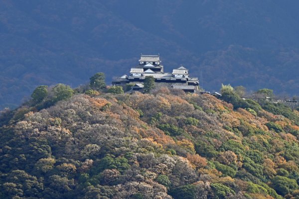 松山総合公園展望台(4)：松山城