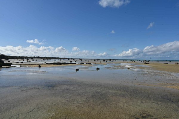 佐和田の浜