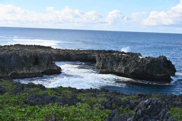 白鳥崎西海岸公園(1)