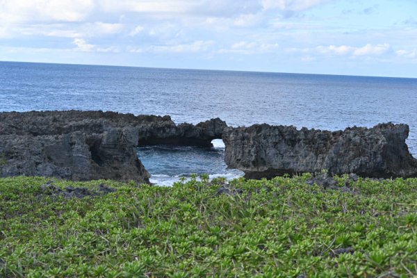 白鳥崎西海岸公園(3)