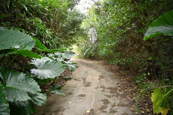 来間島東森林公園(1)