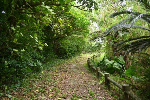 来間島東森林公園(2)