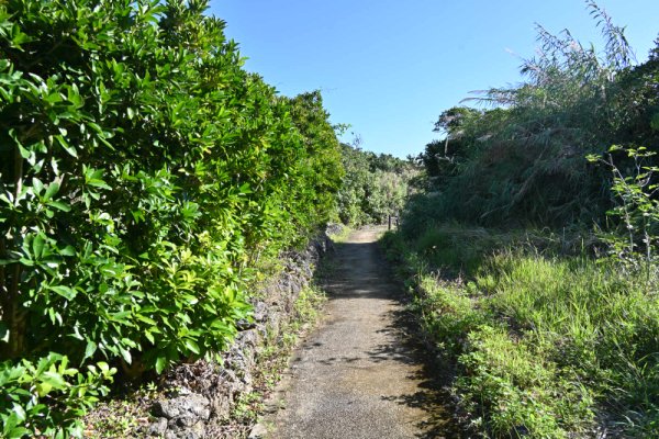 横につながる山道