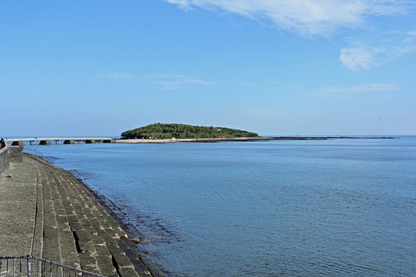 宮交ボタニックガーデン青島(3)