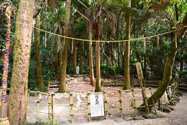 青島神社(10)